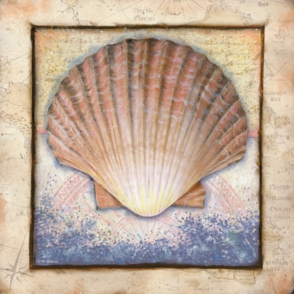 Picture of SHELL