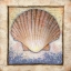 Picture of SHELL
