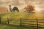 Picture of GRAZE ON
