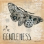 Picture of GENTLENESS