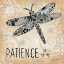 Picture of PATIENCE
