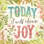 Picture of TODAY I WILL CHOOSE JOY