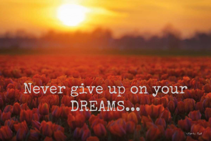 Picture of NEVER GIVE UP ON YOUR DREAMS