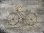 Picture of BICYCLE
