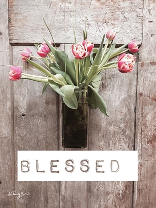 Picture of BLESSED TULIPS