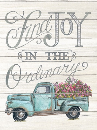 Picture of FIND JOY IN THE ORDINARY