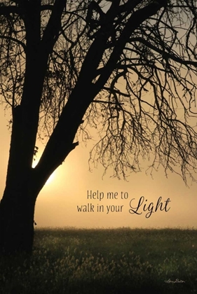 Picture of HELP ME TO WALK IN YOUR LIGHT