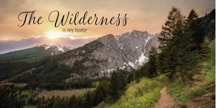 Picture of THE WILDERNESS IS MY HOME
