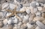 Picture of STARFISH AND SEASHELLS