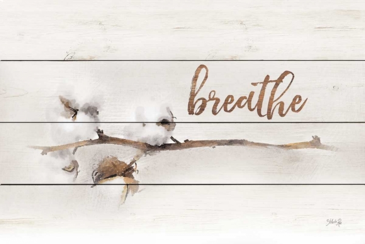 Picture of COTTON STEMS - BREATHE