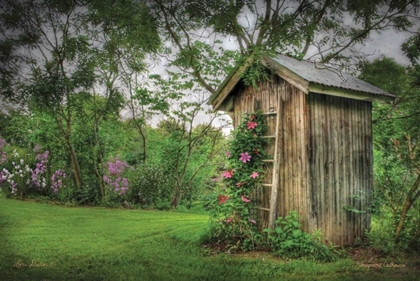 Picture of FRAGRANT OUTHOUSE