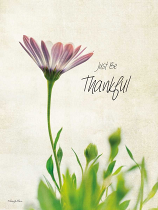 Picture of JUST BE THANKFUL