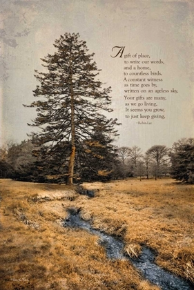 Picture of ODE TO TREES