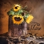 Picture of CHOOSE TO SHINE