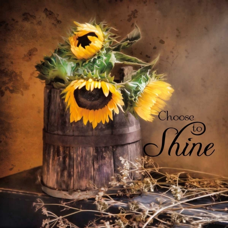 Picture of CHOOSE TO SHINE