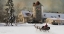 Picture of ONE HORSE OPEN SLEIGH