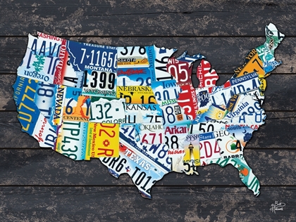 Picture of USA LICENSE PLATE MAP
