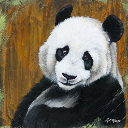 Picture of PANDA SMILE  