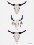 Picture of BOHO STEER HEAD III