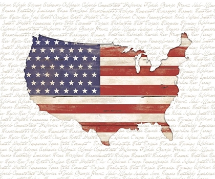 Picture of USA FLAG