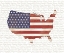 Picture of USA FLAG