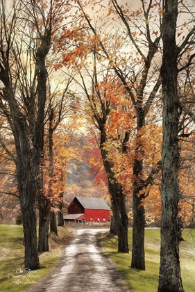 Picture of ON THOSE COUNTRY ROADS