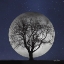 Picture of FULL MOON