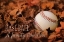 Picture of BASEBALL - A FAMILY TRADITION