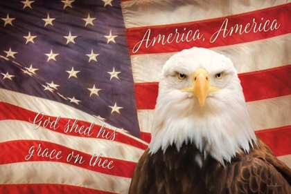 Picture of AMERICAN EAGLE FLAG
