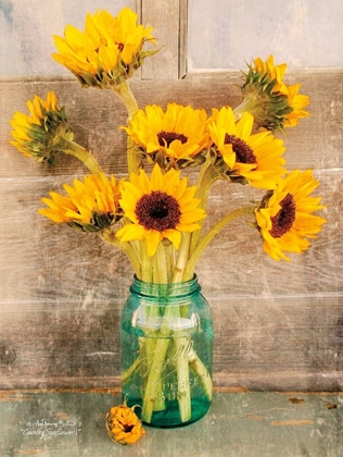 Picture of COUNTRY SUNFLOWERS I