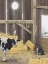 Picture of UNCLE SAMMYS BARN