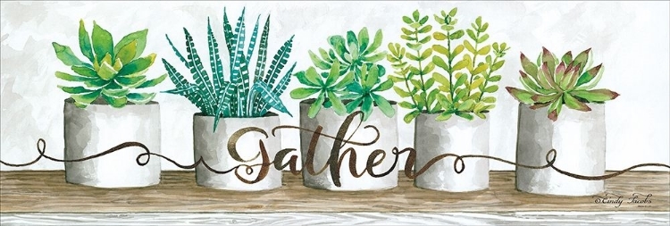 Picture of GATHER SUCCULENT POTS