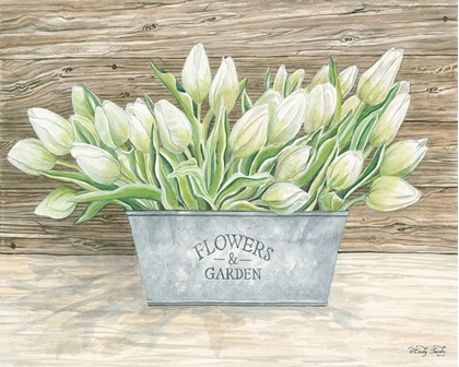 Picture of FLOWERS AND GARDEN TULIPS