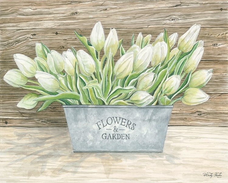 Picture of FLOWERS AND GARDEN TULIPS