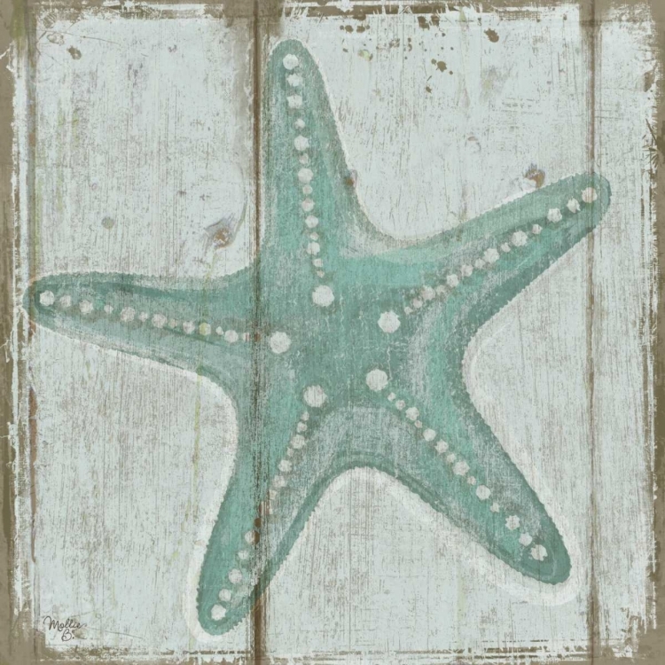 Picture of STARFISH