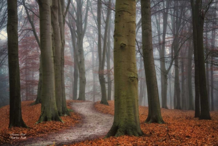 Picture of AUTUMN PATH