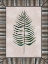 Picture of ARECA LEAF 