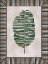 Picture of BANANA LEAF 
