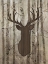 Picture of DEER IN TREES