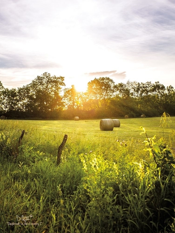 Picture of DAYBREAK IN THE COUNTRY I