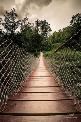 Picture of WILDERNESS WALKWAY