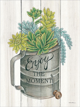 Picture of ENJOY THE MOMENT SUCCULENTS