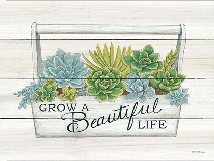 Picture of BEAUTIFUL LIFE SUCCULENTS