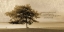 Picture of FIND YOURSELF