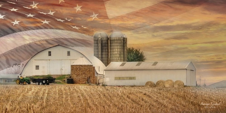 Picture of AMERICAN FARMLAND