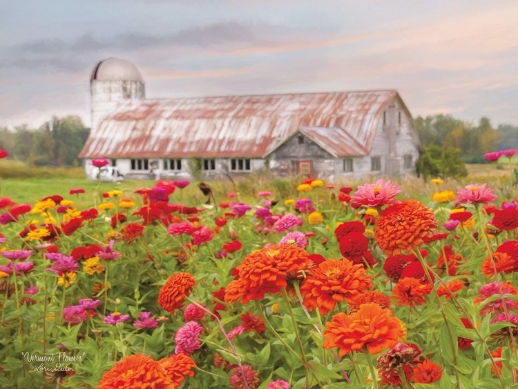 Picture of VERMONT FLOWERS