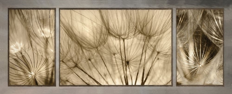 Picture of GOATSBEARD TRIO