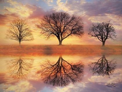 Picture of TRIO OF TREES