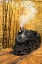 Picture of FALL LOCOMOTIVE