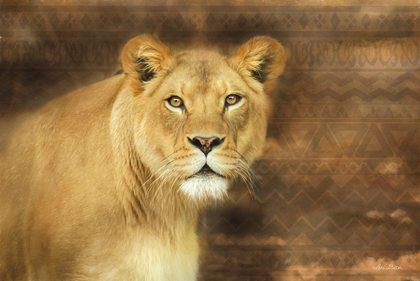 Picture of TRIBAL LIONESS